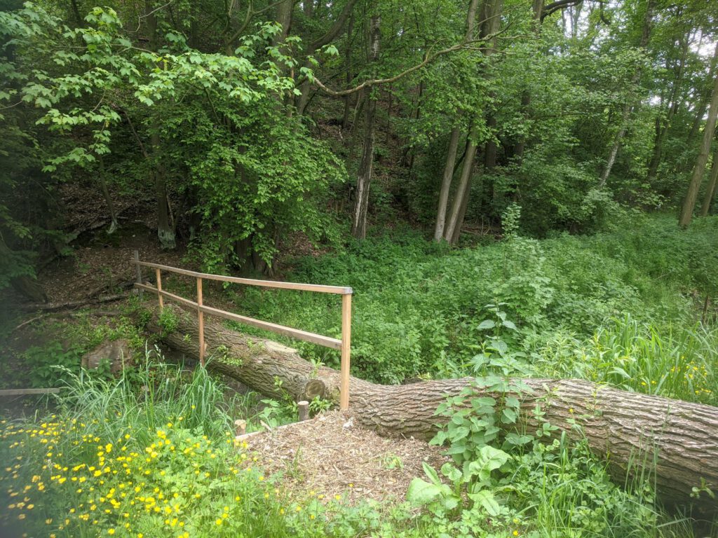 "Brücke" in den Wald