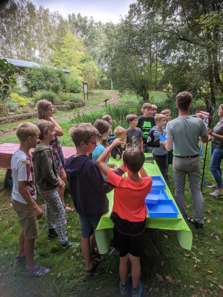 Tümpeltour mit Fachmann