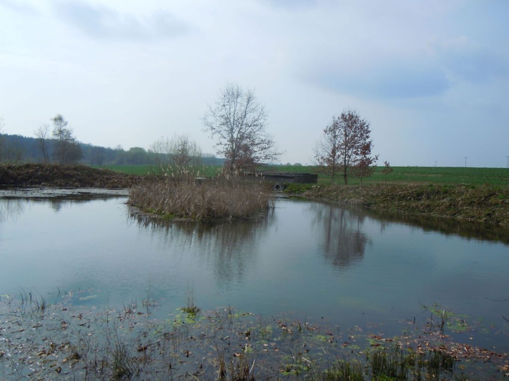 Teich mit kleiner, bewachsener Insel