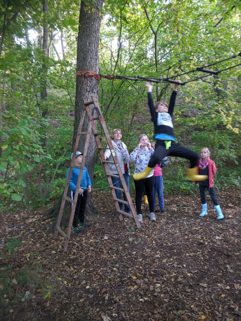 Hangelleiter im Wald